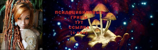кокаин колумбия Ладушкин