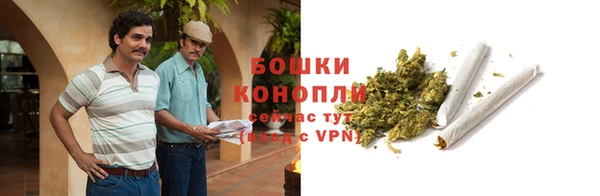 бутират Лагань