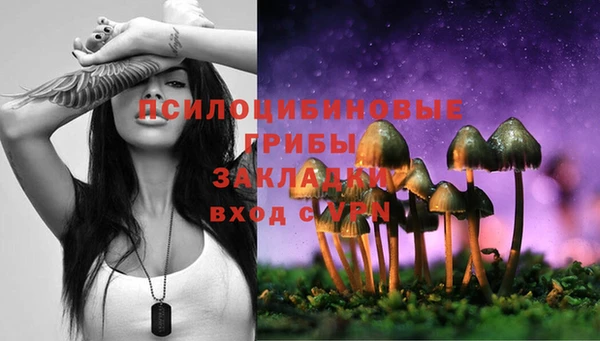 apvp Лабытнанги