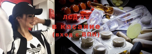 2c-b Щигры