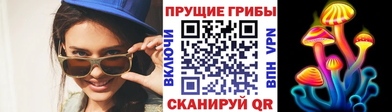 Галлюциногенные грибы GOLDEN TEACHER  где найти наркотики  omg ССЫЛКА  площадка официальный сайт  Себеж 